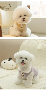 Close-up of knit pet vest with contrast colors, lapel collar, and decorative buttons