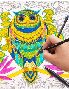Detailed 0.4mm fineliner pen coloring a complex owl illustration for art projects