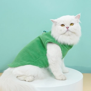 Close-up of a long-haired white cat wearing a grass green fleece vest harness with a D-ring