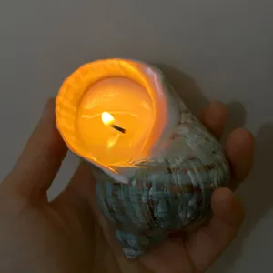 Handheld conch shell scented candle with a natural spiral texture and warm burning flame