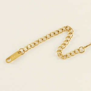 Detailed macro view of the gold stainless steel NK chain links and S.STEEL logo tag