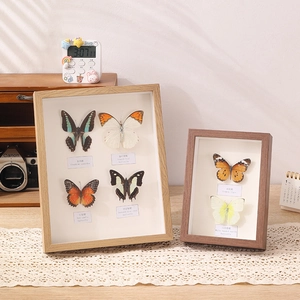A4 wooden butterfly specimen display frame with real insects and bilingual labels
