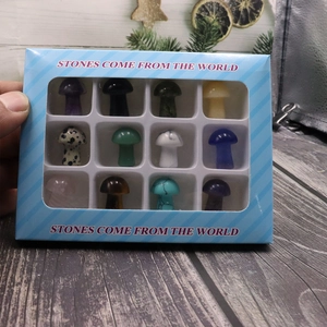 Set di dodici pietre di cristallo naturale a forma di fungo in confezione regalo