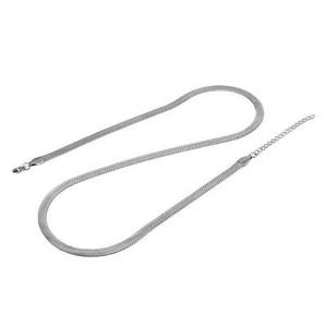 Detailed close-up of a silver flat snake chain necklace with lobster clasp on white background