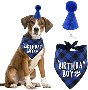 Close-up of blue sequin party hat and Birthday Boy plaid bandana set for dogs
