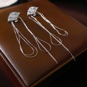 Detail of silver fan-shaped earrings with long tassels on a leather display box