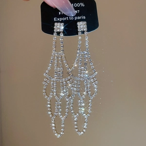 Detailed shot of long tassel earrings with silver base and sparkling white rhinestones