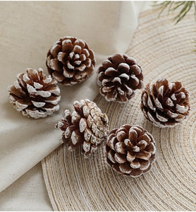 Detail of natural pine cones with artificial white snow on a rustic woven mat