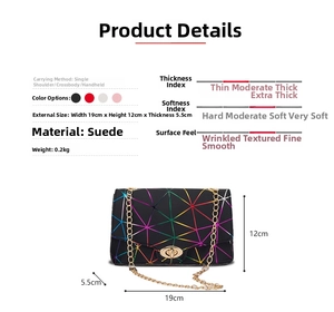 Detail view of iridescent geometric crossbody bag with dimensions 19cm x 12cm x 5.5cm