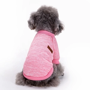 Detailansicht der Rückseite des rosa Hundepullovers mit Etikett am kleinen Haustier