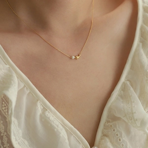 Collier minimaliste en titane plaqué or 18K avec une perle blanche et pendentif dauphin