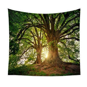 Forest tapestry with ancient trees and golden sunlight for wall decor and photography backdrop