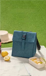 Close-up of insulated lunch bag with buckle closure and shoulder strap on picnic grass