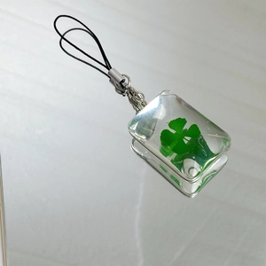 Macro detail of rectangle glass pendant with real green clover and silver clip