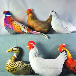Realistic bird plush pillows featuring chicken duck and pigeon designs for home decor