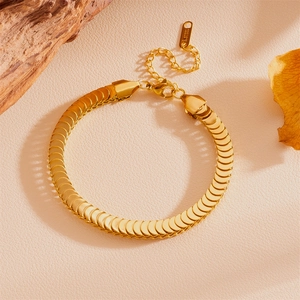 Bracelet Écailles De Poisson En Acier Inoxydable Plaqué Or Bijoux De Mode INS Simples Pour Femmes Chaîne En Os De Serpent Ajustable Tendance