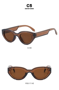 Détail des lunettes de soleil œil de chat marron café avec accents bleus de face et côté