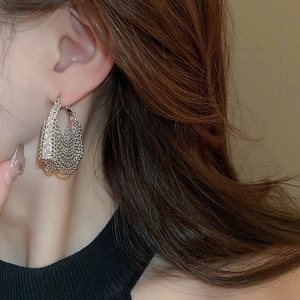 Close-up of silver mesh tassel earrings with zircon inlay worn by a female model