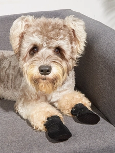 Detail of black breathable mesh dog shoes with adjustable velcro strap on a grey sofa