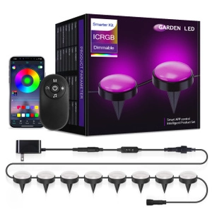 Smart RGB LED string light kit with adapter, remote control and mobile app interface