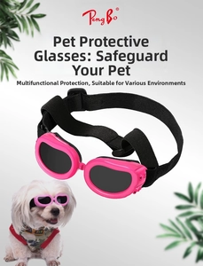 Pink heart-shaped pet sunglasses with adjustable strap on a small dog for UV protection