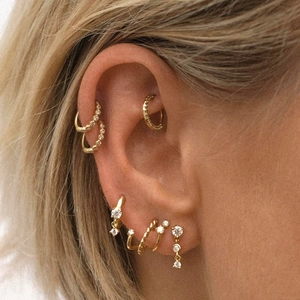 Close-up of S925 silver gold tassel earrings with cluster zircon details on model