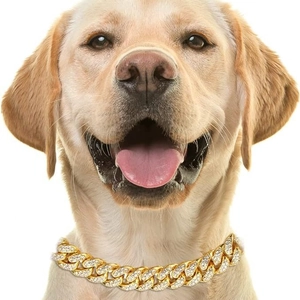 Luxurious gold Cuban link pet collar with rhinestones worn by a Labrador retriever dog