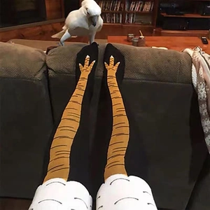 Funny chicken feet thigh high socks with creative novelty patterns in a home setting