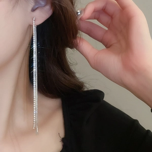 Close-up of elegant long silver tassel earrings with crystals worn by a model