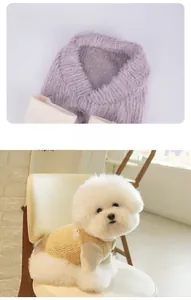 Close-up of beige waffle knit vest with purple faux fur trim on a small Bichon Frise dog