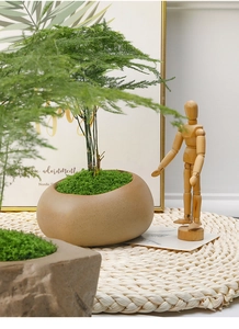 Detail of creative pebble shaped ceramic flower pot with green asparagus fern plant
