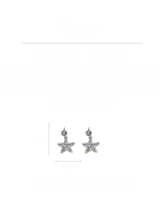 Detailed macro view of silver star earrings with crystal inlay and 3.2cm length