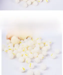 Detailed macro view of realistic miniature PVC lotus seeds for DIY dollhouse crafts