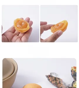 Modèle d'ormeau séché réaliste avec texture ambrée présenté à la main pour la taille