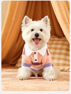 Close-up of pink and purple striped dog sweater with white collar and plush mink velvet texture