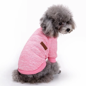 Details des rosa gestrickten Hundepullovers mit klassischem Leder-Tag am Pudel