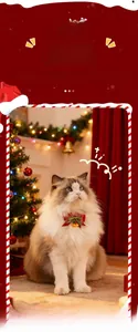 Weihnachts-Fliege für Haustiere mit Glocke für Hunde und Katzen in Rot und Grün