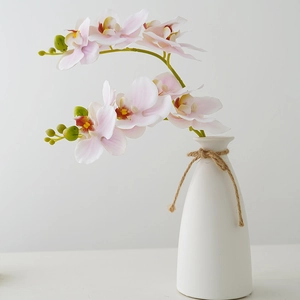 Pink gradient 5-head phalaenopsis orchid in a white ceramic vase for home decor