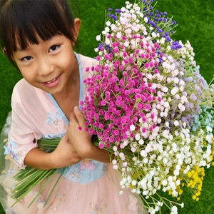 Child holding a colorful bouquet of faux Gypsophila flowers in a lush green field