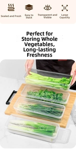 Stackable long clear plastic food storage containers for scallions and celery with airtight lid