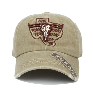 Detail of vintage washed khaki baseball cap with Texas bull skull embroidery and frayed edges