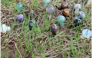 Mini natural crystal mushroom stones in various colors on green grass for DIY decor