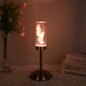 Detail of warm LED night light with white feathers in acrylic cylinder on golden metal base