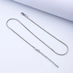 Detail of silver snake chain necklace featuring lobster clasp and extension link