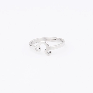 Macro view of silver stainless steel ring featuring engraved Leo zodiac symbol