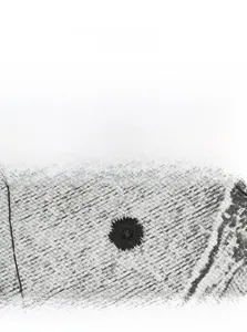 Détail du tissu en coton gris avec une broderie précise d'étoile noire scintillante