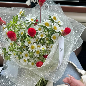 Detail of floral bouquet with white daisies and red globe amaranth in dot mesh wrap