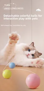 Close-up of a cat playing with colorful interactive balls on a warm wooden floor
