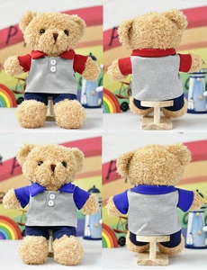Detailed front and back views of a cute teddy bear plush toy in colorful outfits