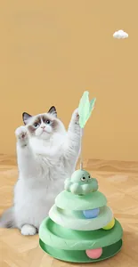 Ragdoll cat playing with multi-tier mint green spinning track toy and feather wand